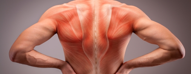 Back view of athlete man torso with muscle structure